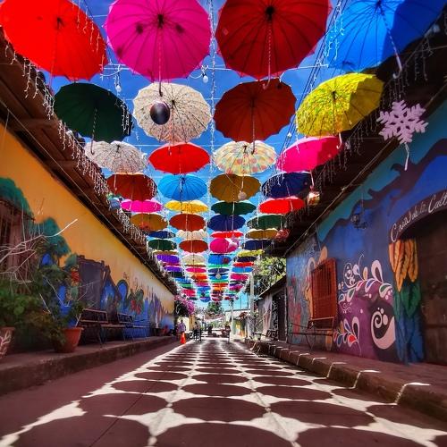 Colorfull Day