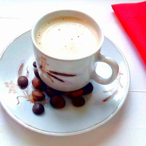 Photo #4485367
