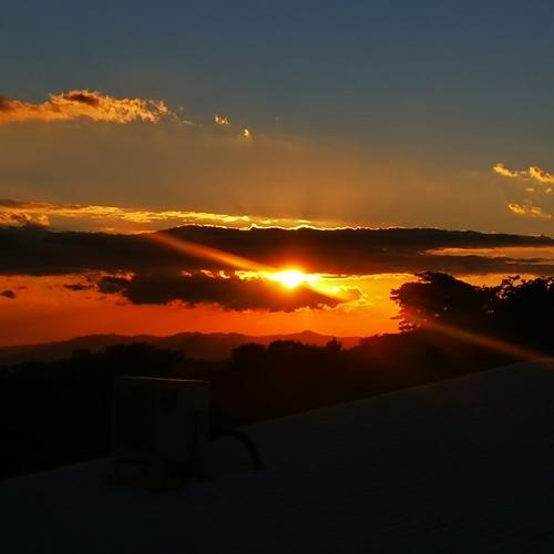 Photo #4485408
