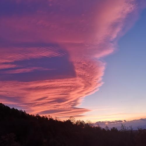 Photo #4485446