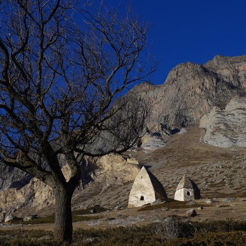 Photo #4485754
