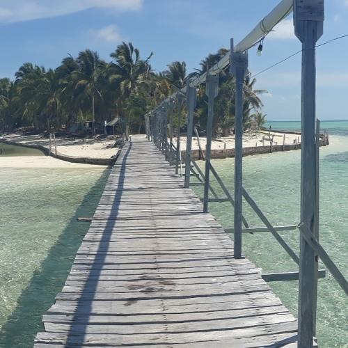 Photo #4485822