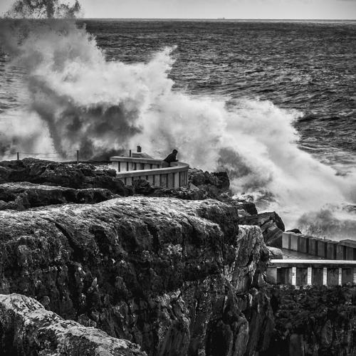 Photo #4485895