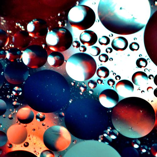 Photo #4486470