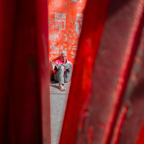 Photo #4486493