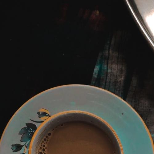 Photo #4486665