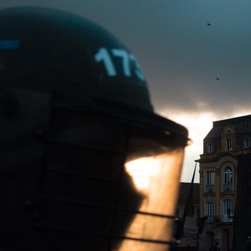 Photo #4486912