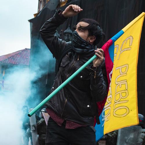 Photo #4486918
