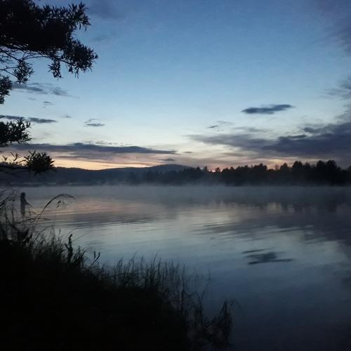 Photo #4487057