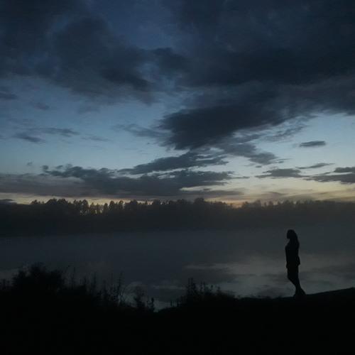 Photo #4487058