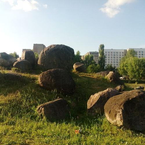 Photo #4487259