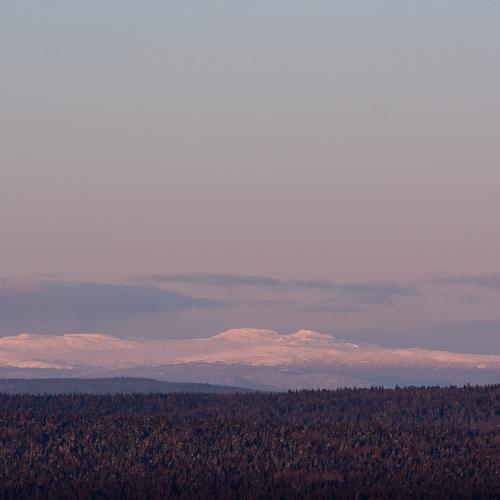 Photo #4487363