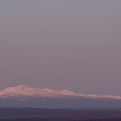Photo #4487369