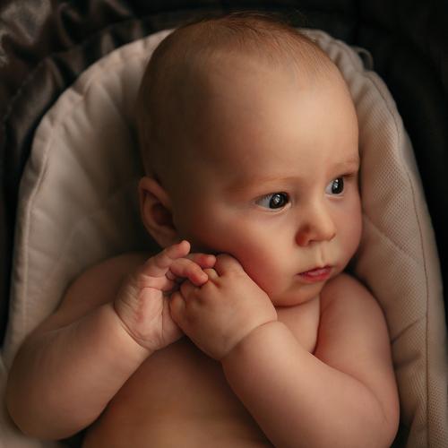 Photo #4487600