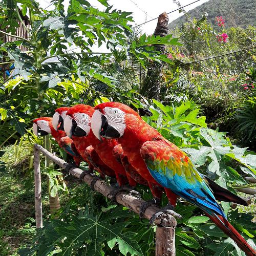 Photo #4487662