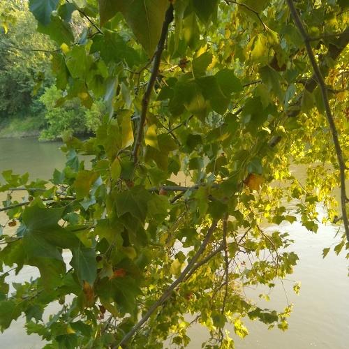Photo #4488235