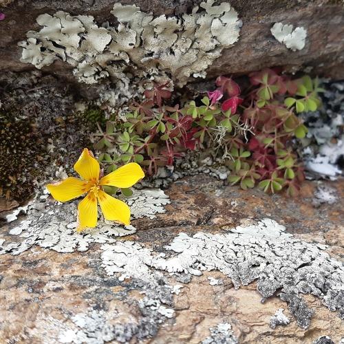 Photo #4488314