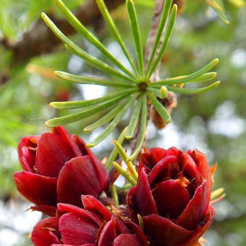 Photo #4488653