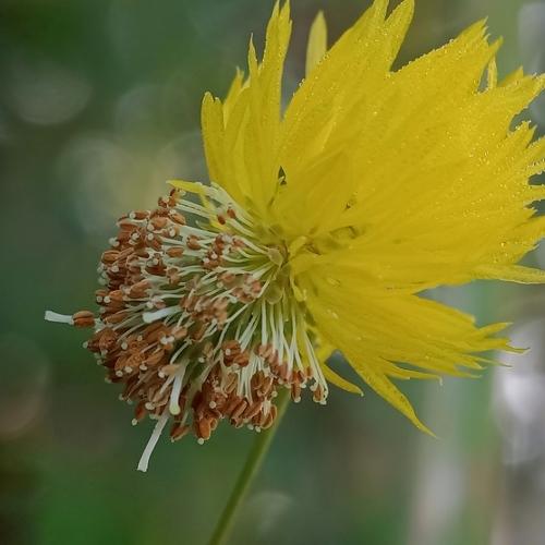 Photo #4488818