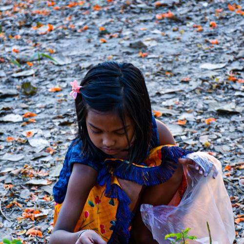 Photo #4489131