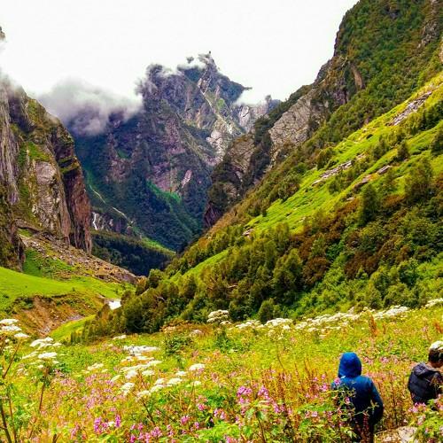 Photo #4489135
