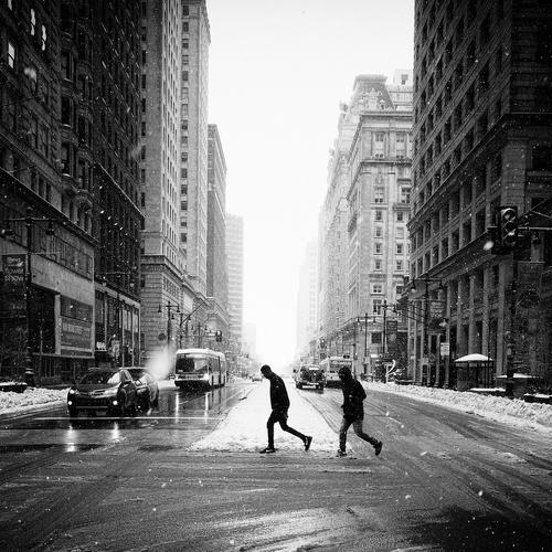 Photo #4489610