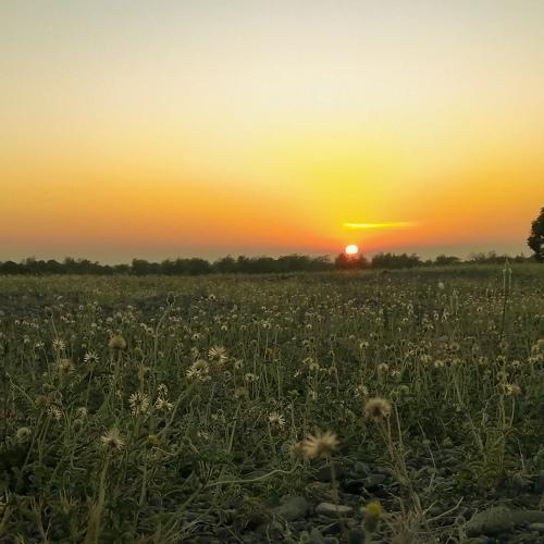 Photo #4489891