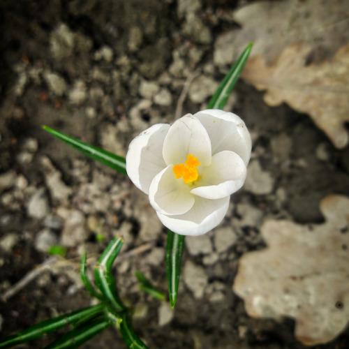 Photo #4489894