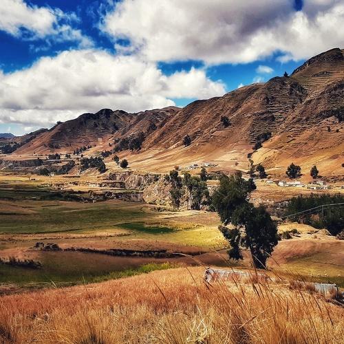Photo #4490069