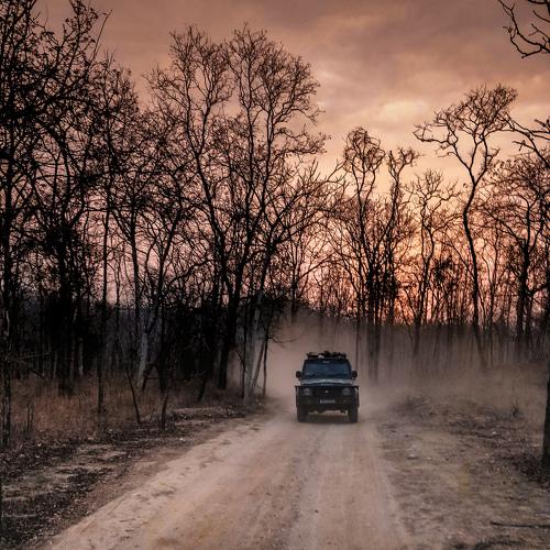 Photo #4490076