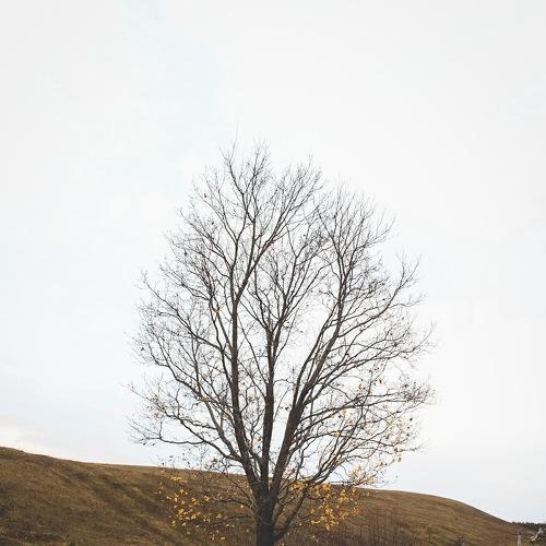 Photo #4490196