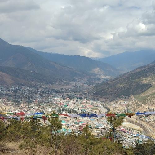 Photo #4490403
