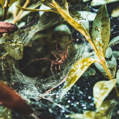 Photo #4490817