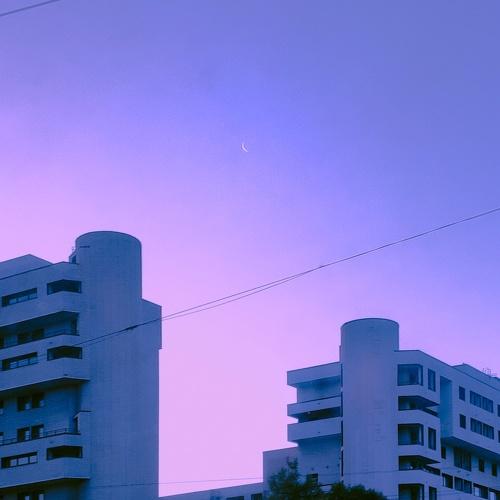 Photo #4490848