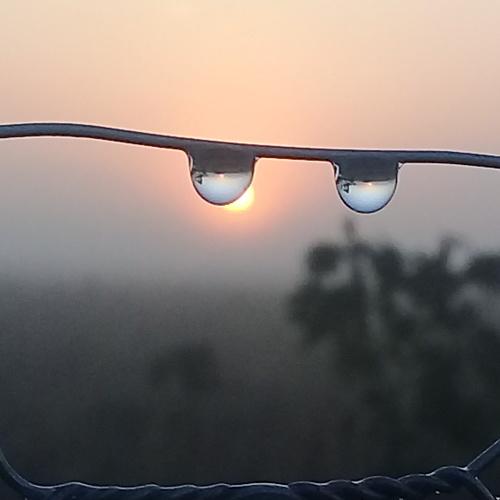 Photo #4491132