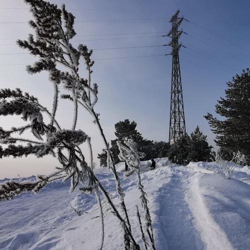 Photo #4491575