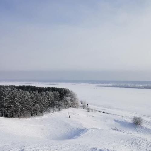 Photo #4491576