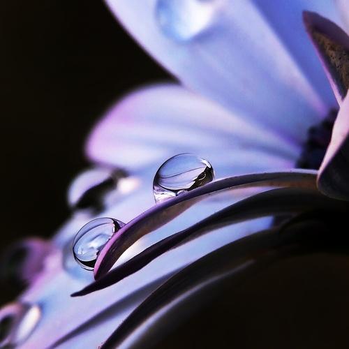 Photo #4492254