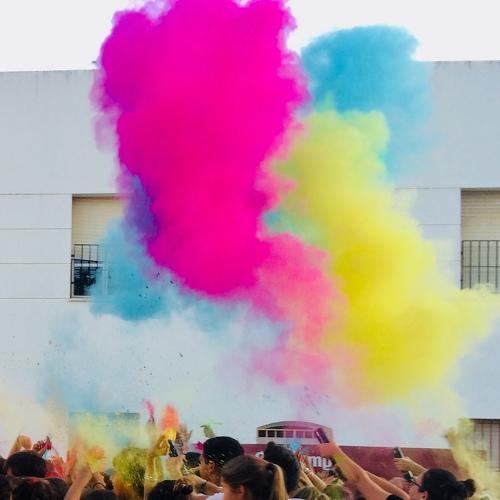 Photo #4492593