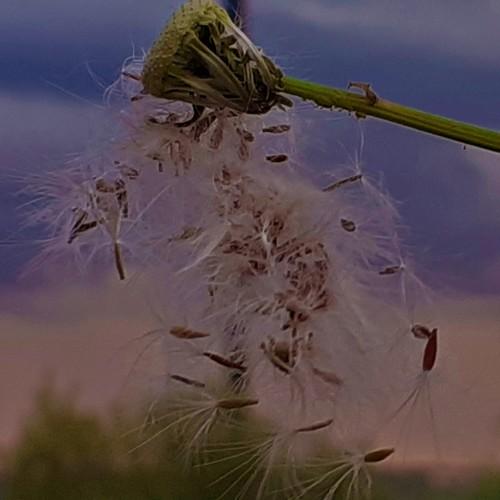 Photo #4492609