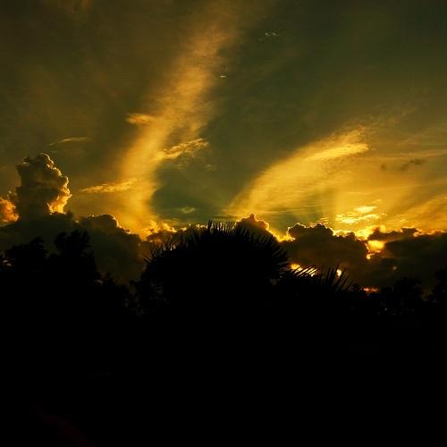 Photo #4493044