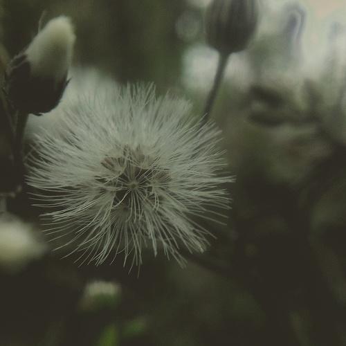 Photo #4493053