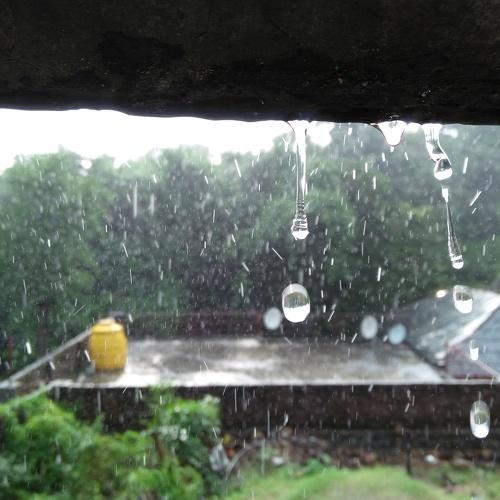Photo #4493061