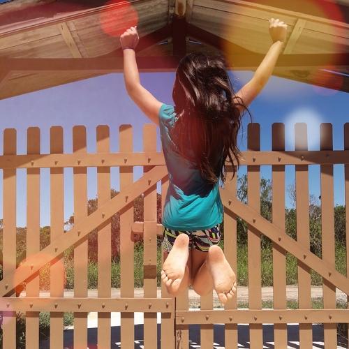 Photo #4493072