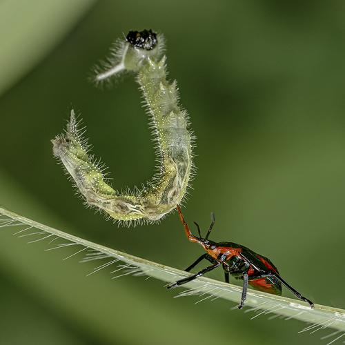 Magic of Nature