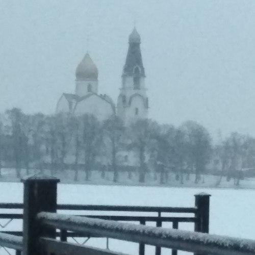 Photo #4493401