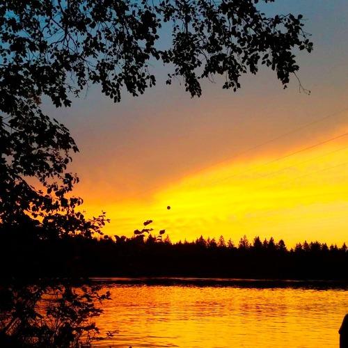 Photo #4493638