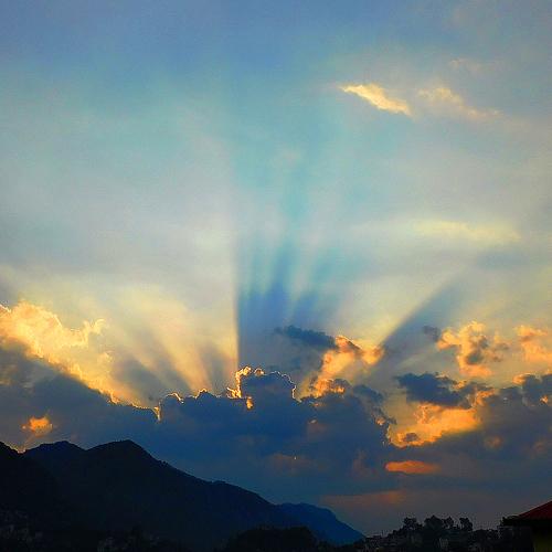 Photo #4493713