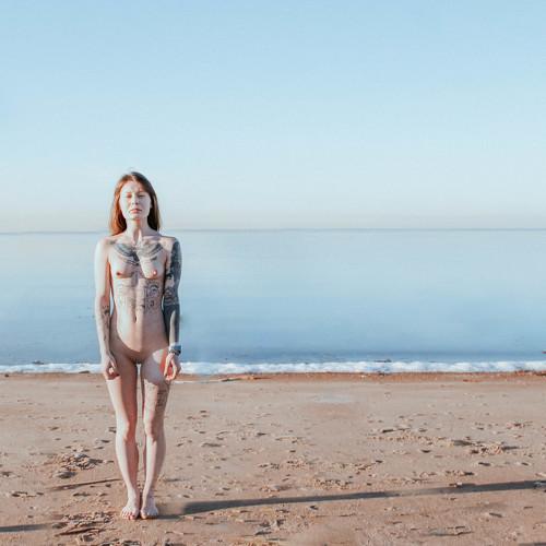 Photo #4493754