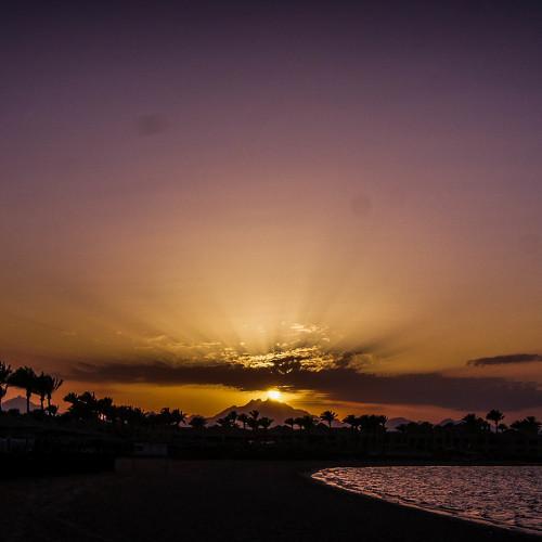 Photo #4493927